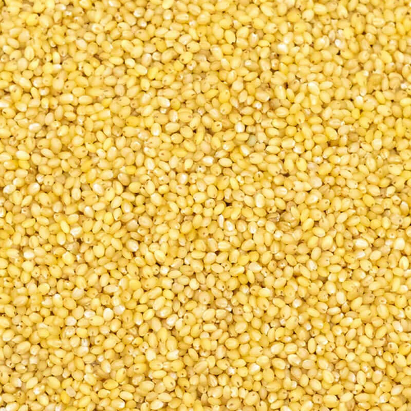 maiz-trillado-amarillo Maíz Amarillo Trillado