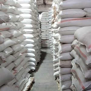 Bodega Maíz Prieto Sacos 2